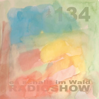 ESIW134 Radioshow Mixed By Junkfood Inc. by Es schallt im Wald
