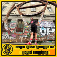 Berlin House Anomalie - Pt 2 of 4 - Liquid Sunshine @ The Face Radio - #158 by Liquid Sunshine