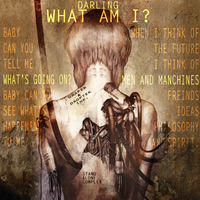 Darling, What Am I? (Droptek/Draper) EDM Mashup by The Mashup Wyvern