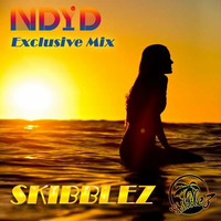 Skibblez - Nu Disco Your Disco Exclusive Mix (July 2014) by NDYD Records