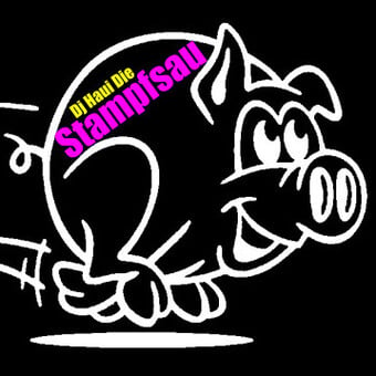 Dj Haui Die Stampfsau