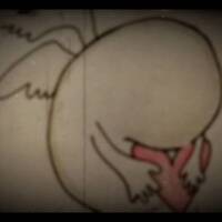 Never Fade by amelie xoxo