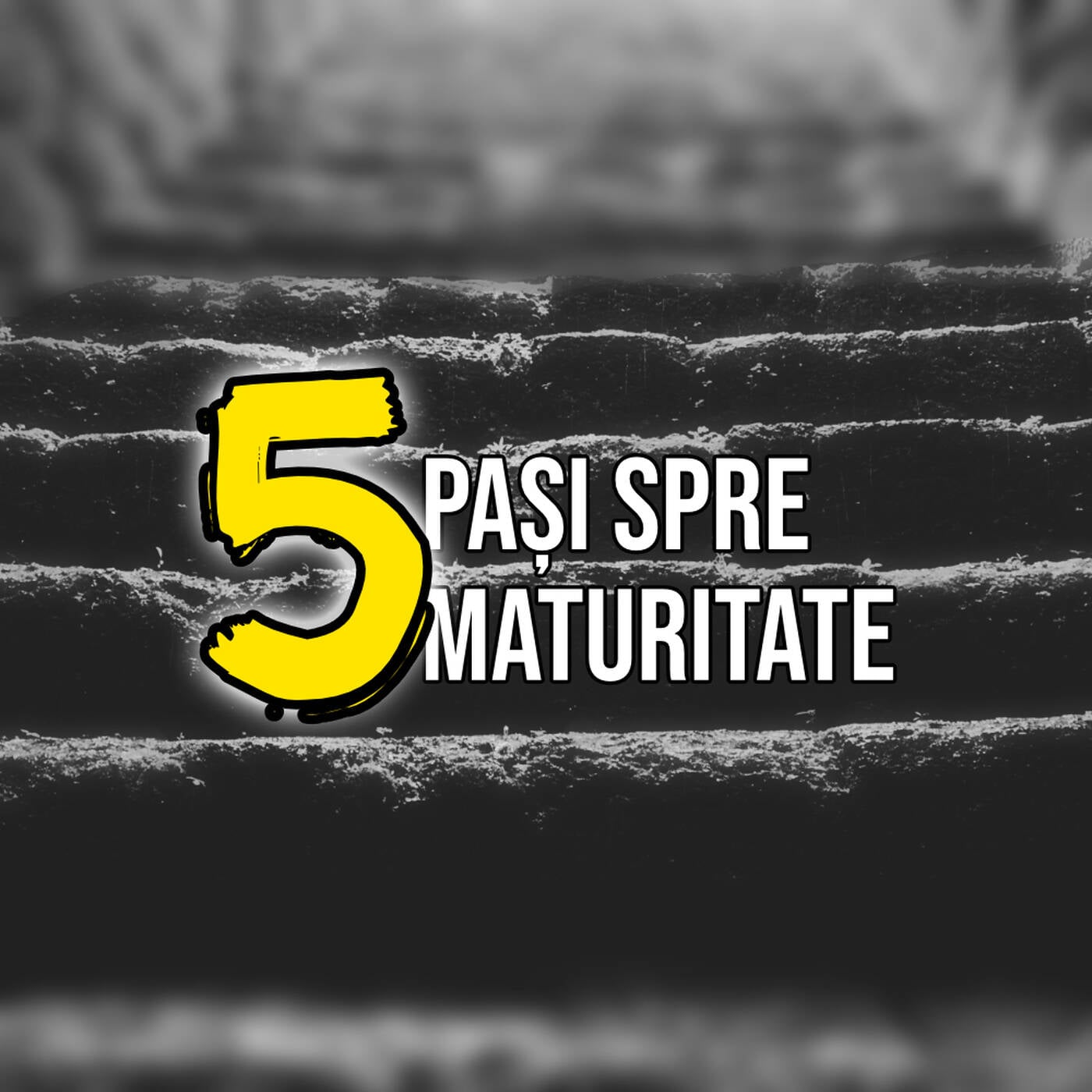 5 pași spre maturitate episode artwork