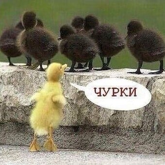 Кирилл Ниверов