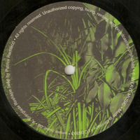 Everglade (Huggotron Remix) [based on "Reshape" version by Patrick Raddatz] by Florida Boys