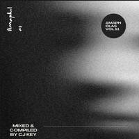 Amapholas Volume 11 by Cj Keys