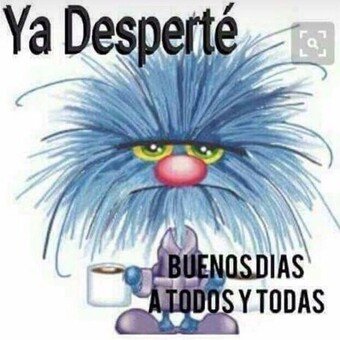 canalazotv@gmail.com
