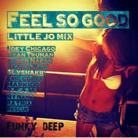 Feel So Good by Funky Disco Deep House