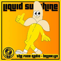 Good Vibes House - Liquid Sunshine @ The Face Radio - Show #254 by Liquid Sunshine