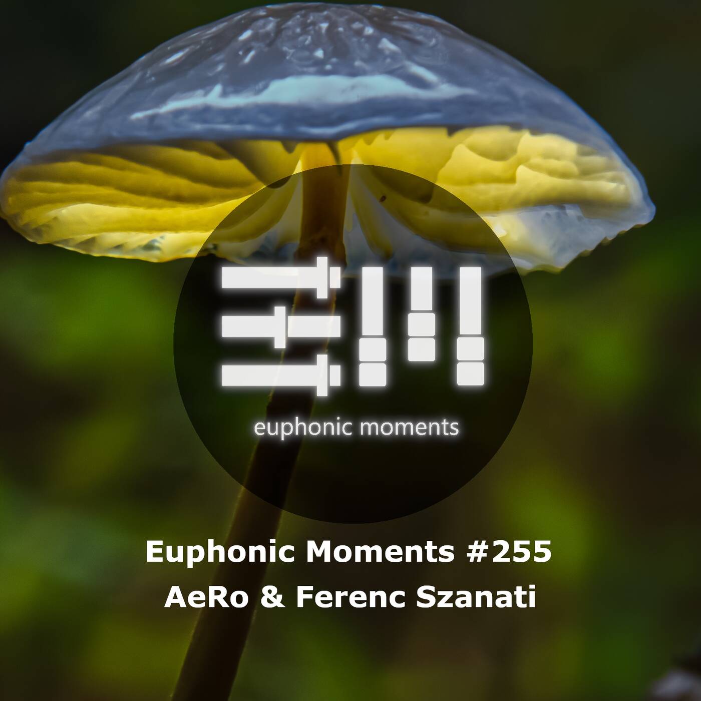 Euphonic Moments # 255 AeRo & Ferenc Szanati episode artwork