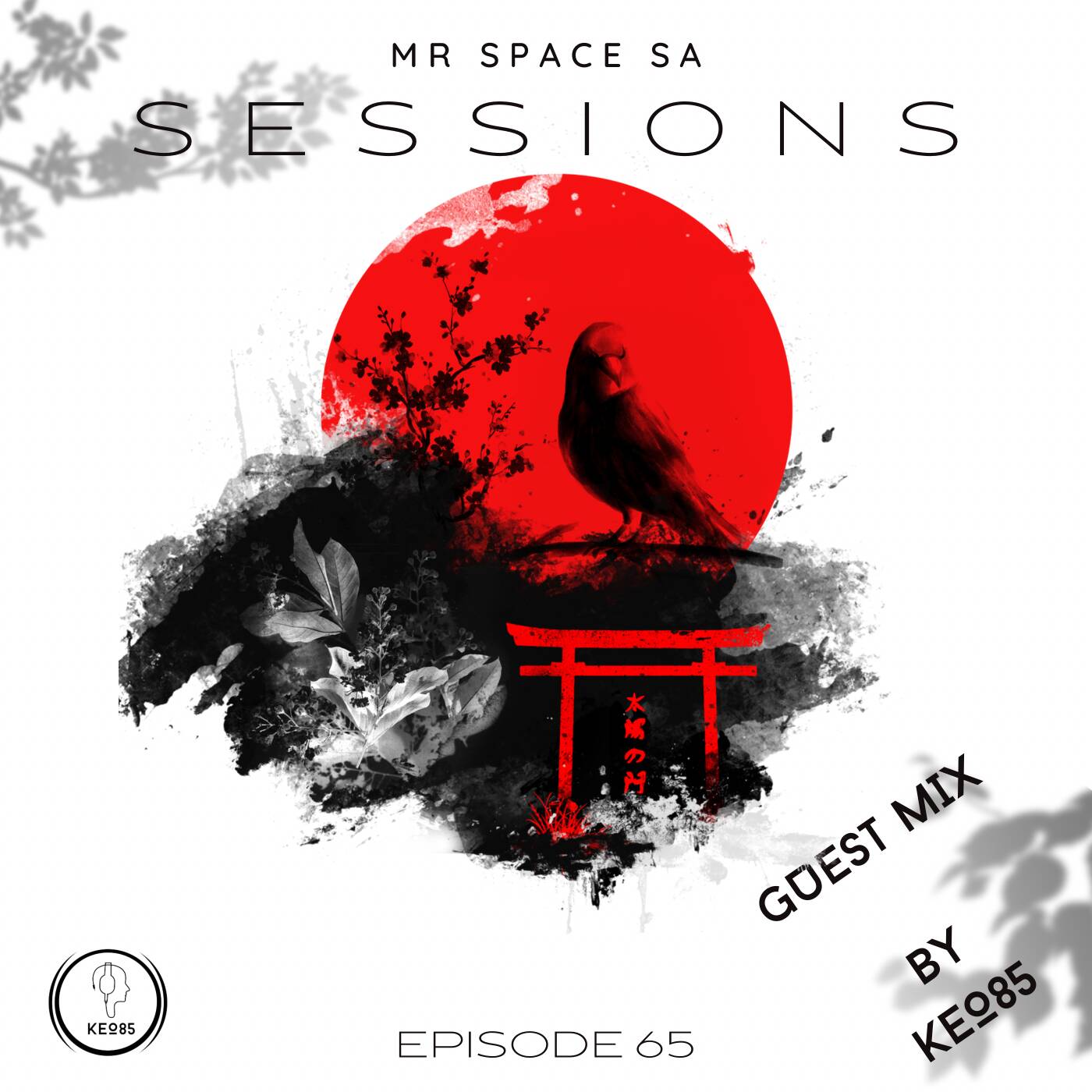 MR SPACE SA SESSION 65 episode artwork