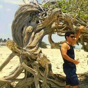 C&aacute;ssio Silva Oliveira