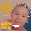 Radio pelik