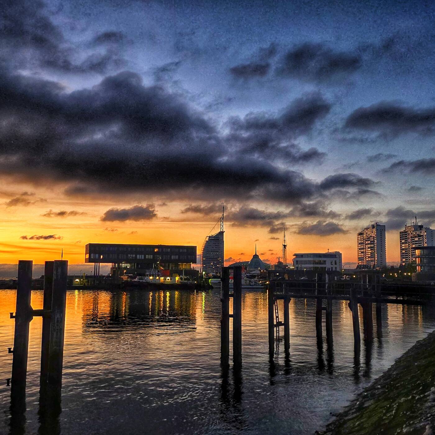 Birdimusic Weekly Radioshow