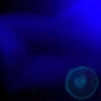 Spectrum_No. 4 - body'n'bass by neleratz
