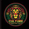 Vdjay spin Culture