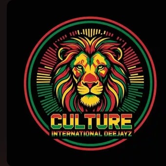Vdjay spin Culture