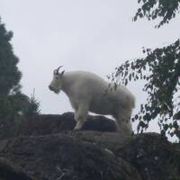 The F*ckbasket Program Episode 6 by NyxSix Supernova