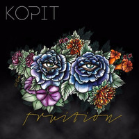 Fruition Album Mix by Kopit