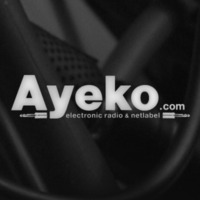 Tracks Compilation - Various Artists - Ayeko Records - NetLabel