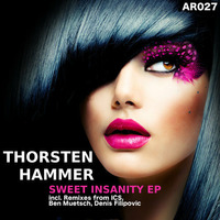 Thorsten Hammer - Sweet Insanity (Original / Preview) by Thorsten Hammer