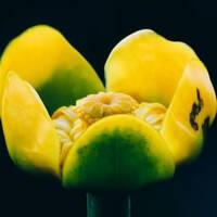 copernicus - highway to house - episode 41 by copernicus