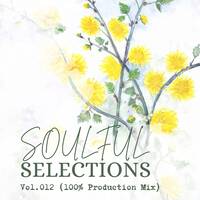 Soulful Selections Vol.012 (100% Production Mix/Festive Mix) by Mc’SkinZz_SA