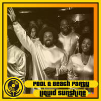 Funky Gospel Disco - Liquid Sunshine @ The Face Radio - #149 - 18-04-2023 by Liquid Sunshine