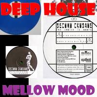 Mellow Mood | Another Beat in the House - Vinyl MiX #12 | 3 Turntables Dj set | Deep House / Garage House / Progressive by Another Beat in the Air