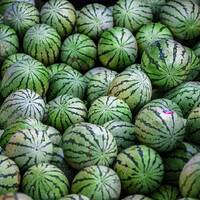 Mundo Mix Radio 228 (06-07-2023) by DJ João Machado