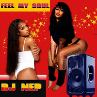 Feel My SOUL ... House Mix Vol. 75 by DJ NEP