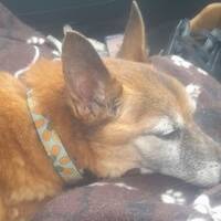 Disco In The Dark 0131 by Disco Internet