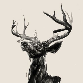 Mazatl Mx ( Producer )