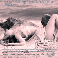 Electronic Impressions 956 with Danny Grunow by Danny Grunow