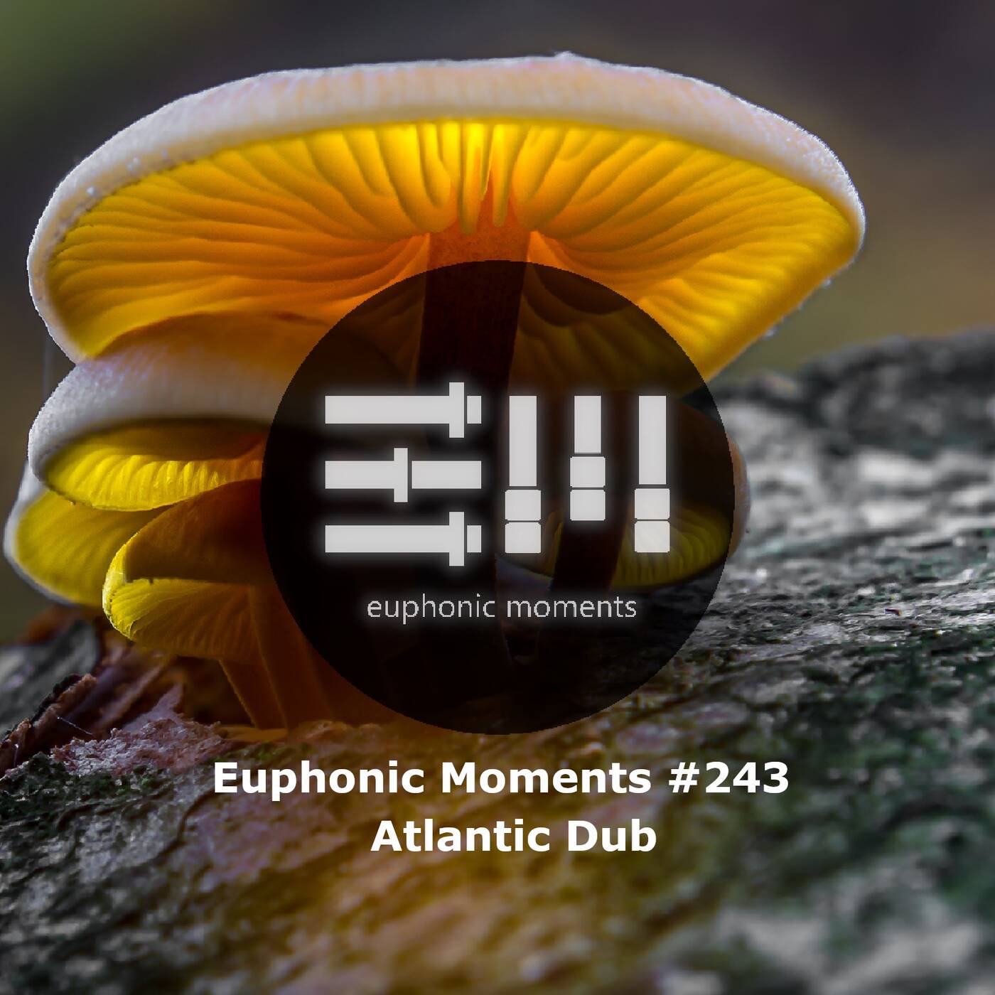 Euphonic Moments # 243 Atlantic Dub episode artwork