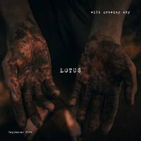 LOTUS by wild growing sky