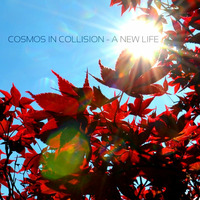 Cosmos in Collision - A New Life by Cosmos in Collision