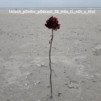fAlsch_pOsitiv_pOdcast_38_tHis_iS_nOt_a_tEst by Kauz