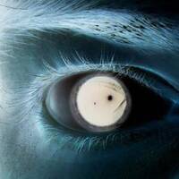 2017-03-20 in Kritischer Situation!!!! by Ramsn