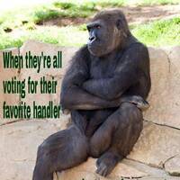 Mental Divergence (Demo) by Kellimus