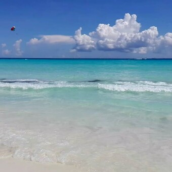 Francisco Javier Carrera Murillo