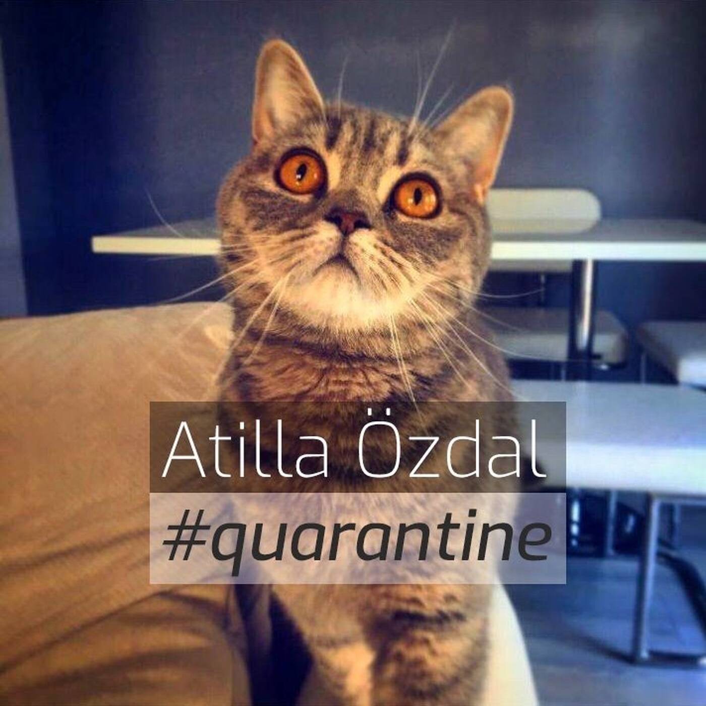 Atilla Özdal #quarantine episode artwork