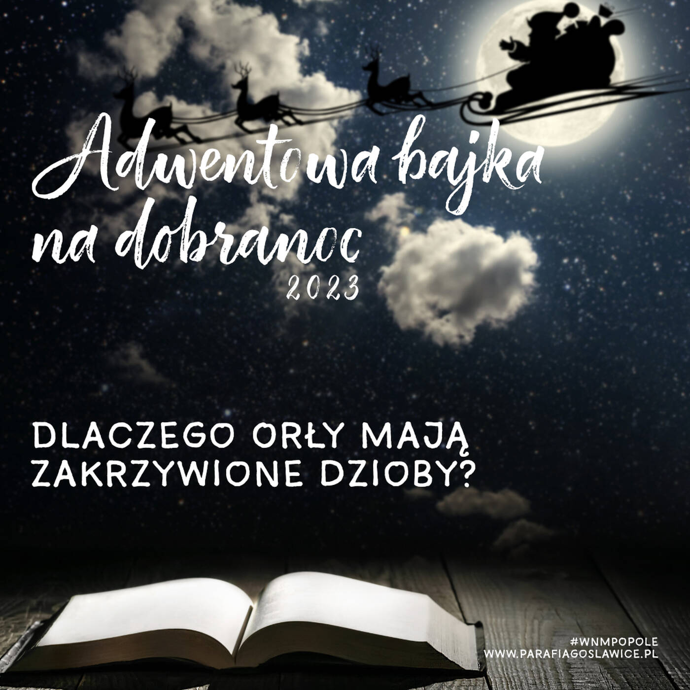[#3] Dlaczego orły mają zakrzywione dzioby episode artwork