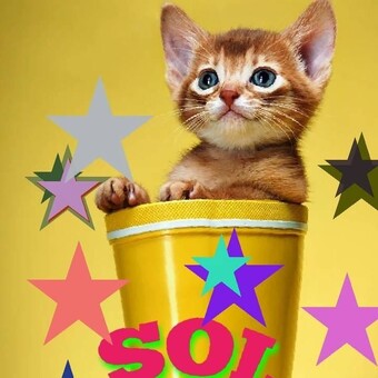 DJ Sol