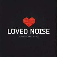 36min Loved Noise Festival Live-Mix by Die Höhenregler