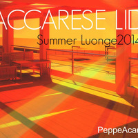 DGroove.Vdj MACCARESE LIDO SummerLounge 2014 Vol2 (PeppeAcamporaMix)ROMA by PeppeAcampora