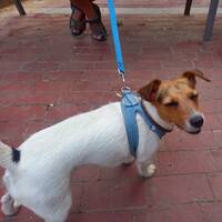 podcast 23 Rap Int by LE MATOU