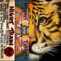 Night Train (1995 Glastonbury Festival Green Field Mix Cassette) by SIR REAL