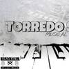 TORREDO S.A