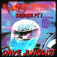Total Kaos - Darkness The Movie 29-1-1993 Tribute Pt I by Dave Junglist